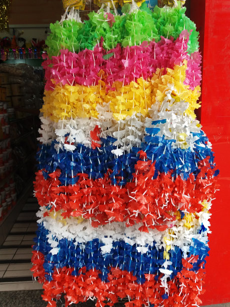 夏威夷的项链图片下载