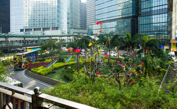 遮打道和令人惊叹的花园，二楼有棕榈树和开花-许多摩天大楼图片下载