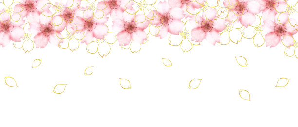 金色和粉红色的樱花花瓣图片下载