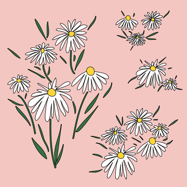 开花雏菊元素。复古1970年的和平风格。花卉七十年代图标。手绘抽象花卉和花束图片下载