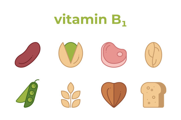 一组含有维生素B1产品的线条图标。图片下载