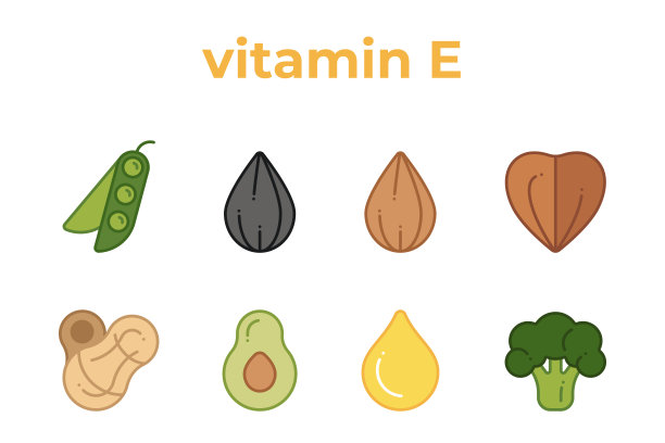 一组含有维生素E产品的线条图标。图片下载