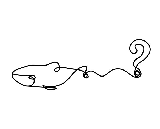 鱼的剪影和问号作为白色线条图片下载