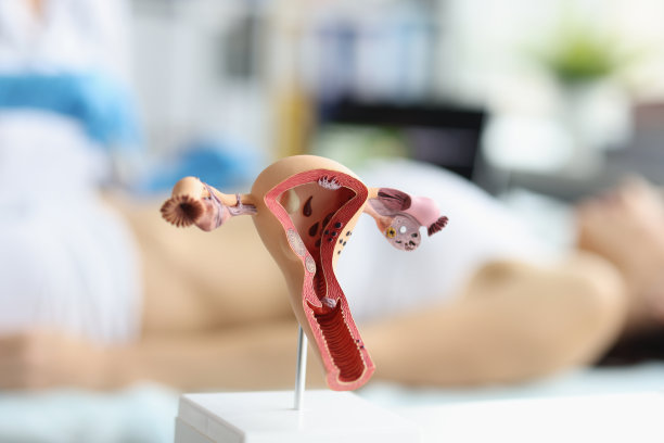 妇科门诊接待及女性子宫超声检查。妇女健康概念图片下载