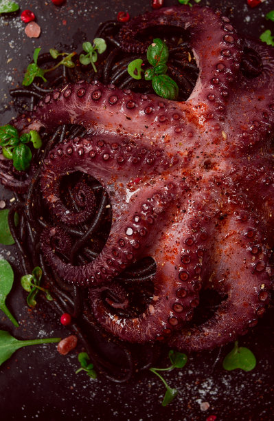 章鱼配黑意大利面，意大利面，香料和香草，俯视图，没有人，图片下载