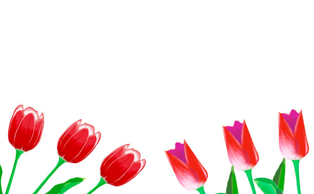 一个红色郁金香矢量材料的插图图片下载