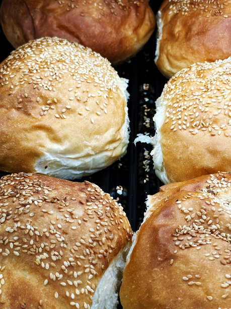 面包店柜台上有新鲜的芝麻面包图片下载