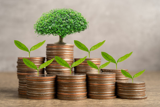 树叶上省钱硬币，商业金融上省钱银行的投资理念。图片下载