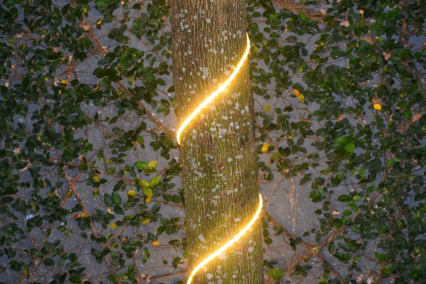 花园灯图片下载