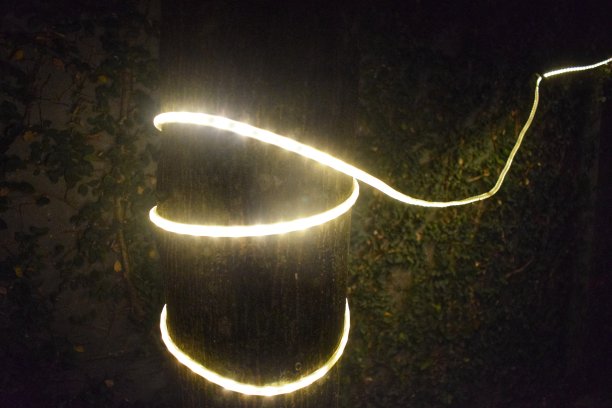 花园灯图片下载