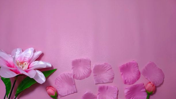 粉红色的背景图片下载