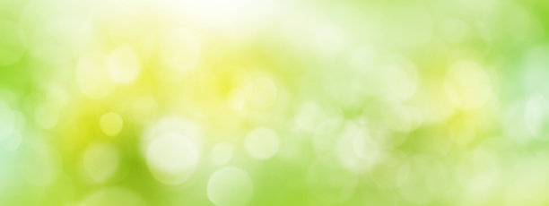 阳光明媚的夏天图片下载