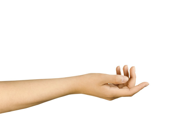 手放在白底，姿态优雅。图片下载