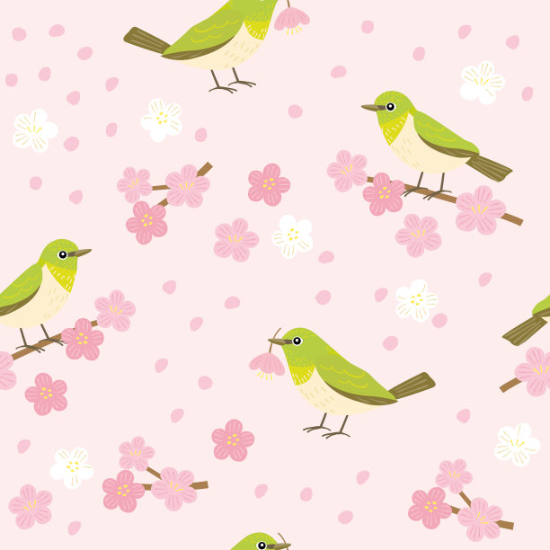 无缝模式的白眼鸟和花，春天的野鸟，矢量手绘插图。图片下载