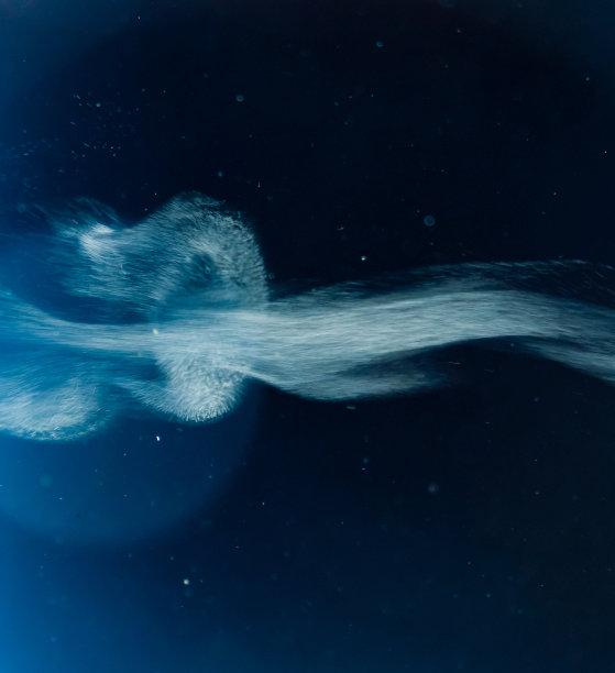 蒸汽喷雾。蒸汽云孤立在凉爽的蓝色背景上。图片下载