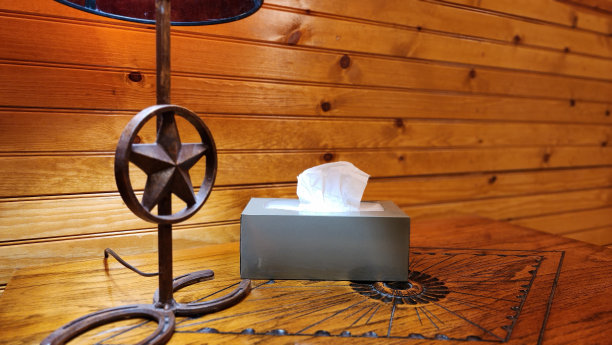 西式装饰的房间。一盒纸巾可供冬天流鼻涕的人使用。图片下载