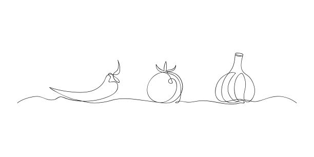 热纸，西红柿，大蒜画在一条线上。酱料示意图。连续画线食品。矢量插图在涂鸦风格。图片下载