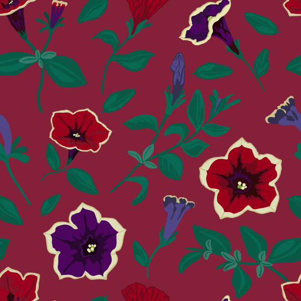 矮牵牛花矢量图像图片下载