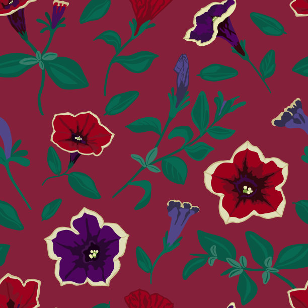 矮牵牛花矢量图像图片下载