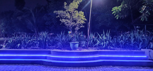 广场在公园的夜晚明亮的紫色霓虹灯图片下载