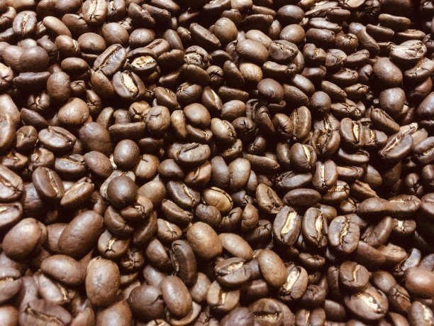 烘焙咖啡豆(1)图片下载