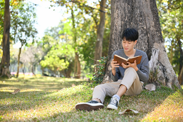 年轻帅气的亚裔男大学生在树下专心看书图片下载