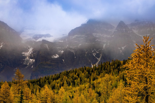 秋天班夫国家公园的落叶松图片下载