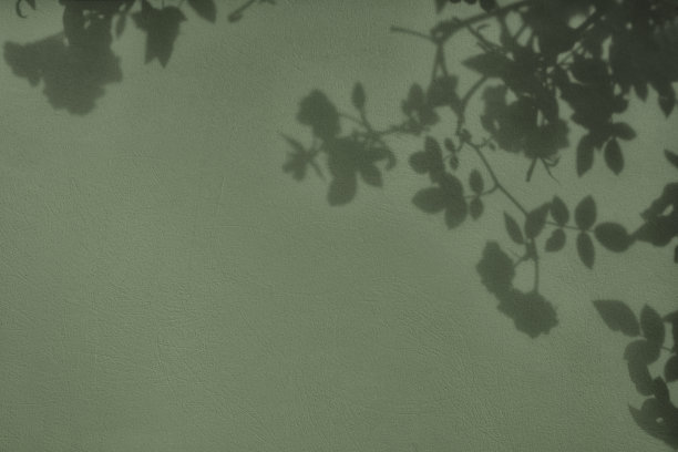 树叶的阴影在灰色的绿色混凝土墙纹理背景图片下载