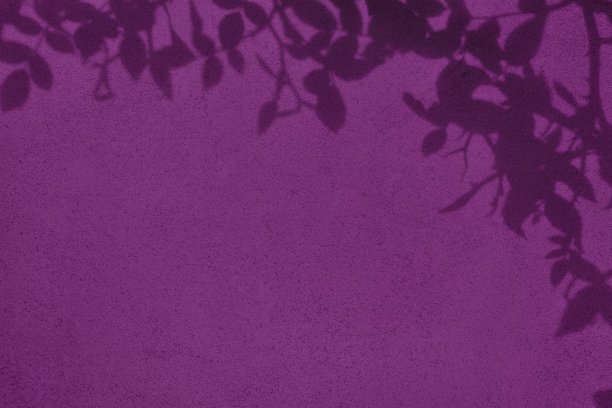 叶子的阴影在紫色混凝土墙纹理背景图片下载