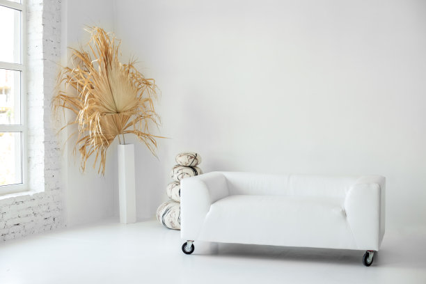 现代明亮的室内现代风格，白色的墙壁和白色的沙发，锅与干棕榈花图片下载