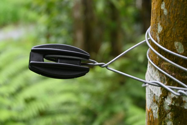 电气栅栏绝缘体端子-库存照片图片下载