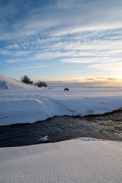 一个冰岛马的剪影与雪的地面在日落，在阴云和橙色的天空下，由于太阳的第一缕光线与暮光反射在一条河的水。图片下载