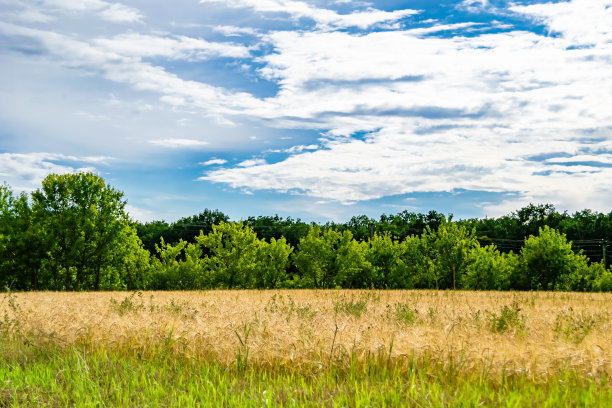 美丽的地平线风景在村庄草地上的颜色自然背景图片下载