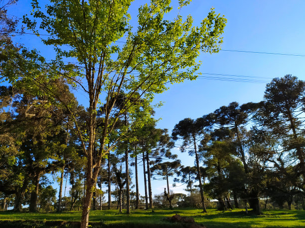 圣卡塔琳娜风景照片摄影图片