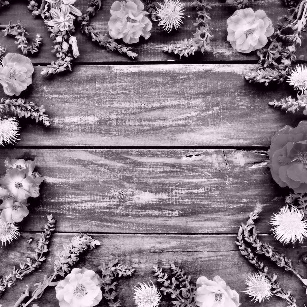 木制背景上的花朵围成一圈。明信片玫瑰，天竺葵，薰衣草，鼠尾草和毛茸茸的栗子被放置在边缘。背景复制空间，平铺。单色黑白照片图片下载