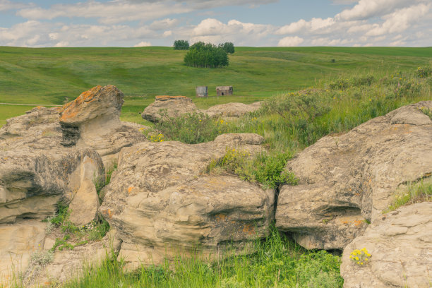 近距离的岩层和阿尔伯塔农田的观点。图片下载