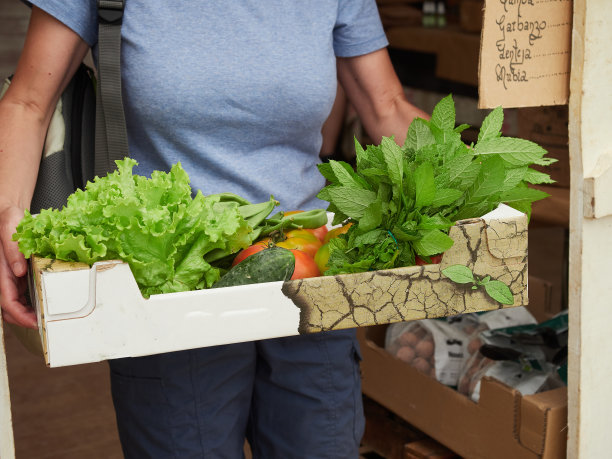 一名妇女提着一个纸箱，里面装着从农贸市场买来的蔬菜图片下载