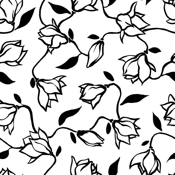 白玉兰单色轮廓花无缝模式图片下载