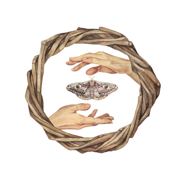 水彩画伸出的人的手与柳树花环孤立在白色的背景。手绘波西米亚手势的帮助与蛾邀请或贴纸。彩妆、庆典婚礼用剪纸图片下载