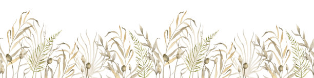 花无缝边界在波西米亚风格与干燥的植物。手绘水彩图案婚礼邀请或贺卡与草和野生树枝孤立的背景。柔和的米色图片下载