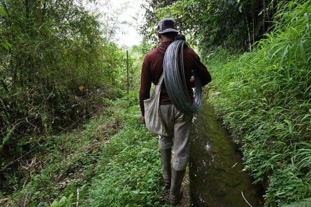 男子行走携带电线连接到围栏-库存照片图片下载