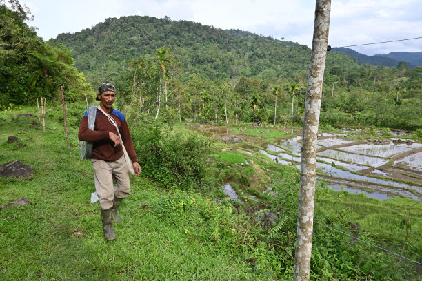 男子行走携带电线连接到围栏-库存照片图片下载