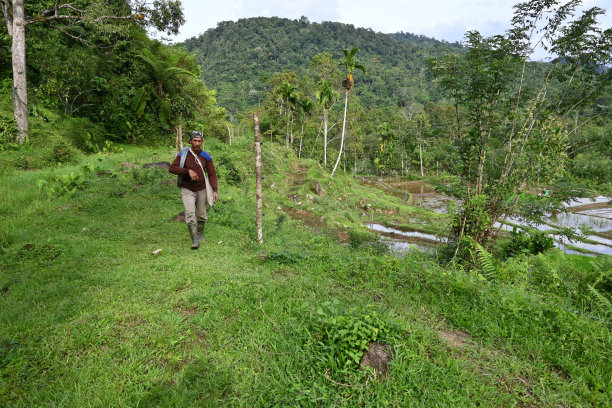 男子行走携带电线连接到围栏-库存照片图片下载