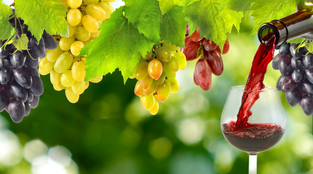 葡萄酒从瓶子里倒进玻璃杯里，背景是一串串的葡萄图片下载