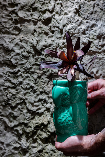 鸡尾酒加冰，杯子里有一朵花，一个男人拿着杯子，背景是一堵石墙图片下载