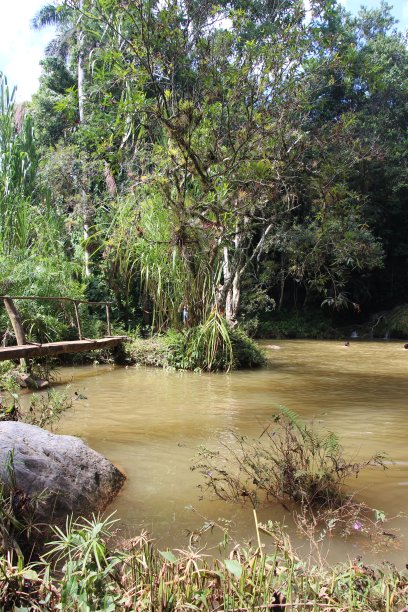 古巴-紧身衣顶部-瓜纳亚拉公园-国家公园图片下载