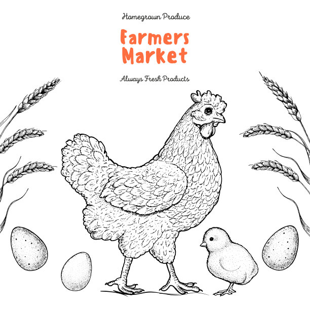 鸡，鸡和鸡蛋手绘，矢量插图。复古鸡素描。设计元素。养鸡场标签。图片下载