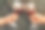 一对情侣在户外喝红酒，特写镜头图片下载
