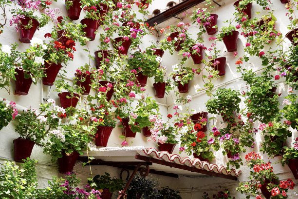 科尔多瓦庭院节(科尔多瓦庭院节)，在西班牙科尔多瓦图片下载