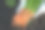 胡萝卜地上用手握，新鲜胡萝卜生长在胡萝卜田蔬菜生长在菜园土壤有机农场收获农产品自然图片下载